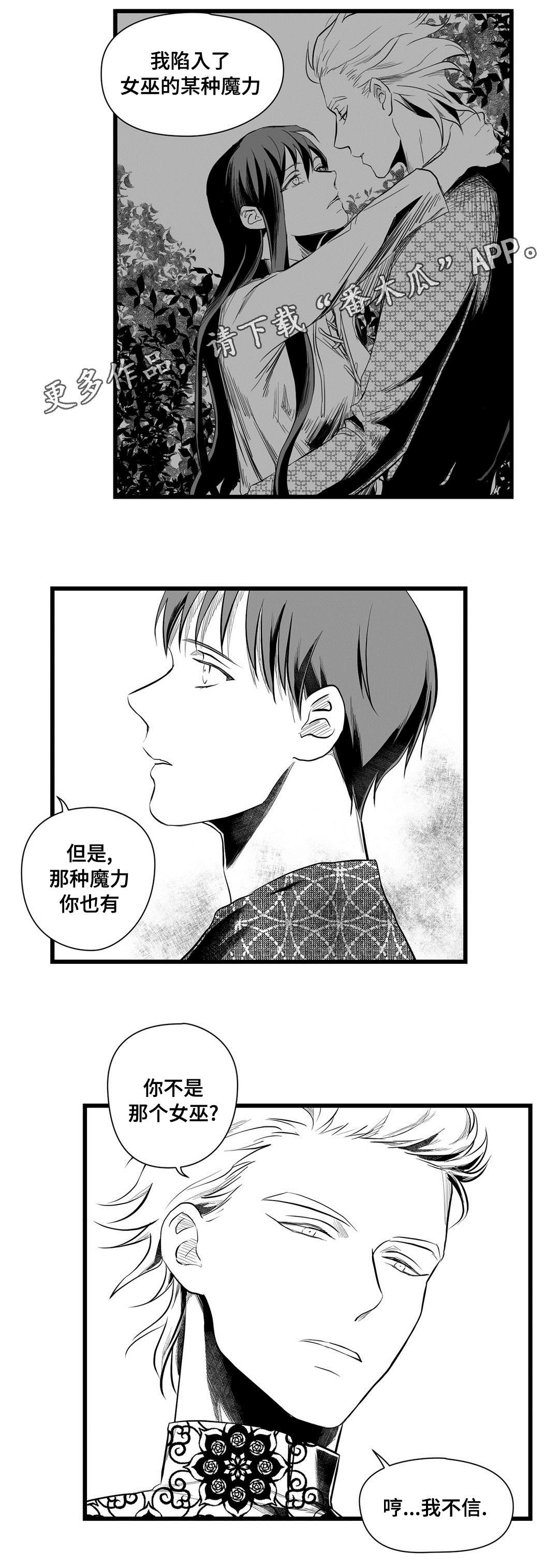 巫师与王子漫画,第51章：魔力2图