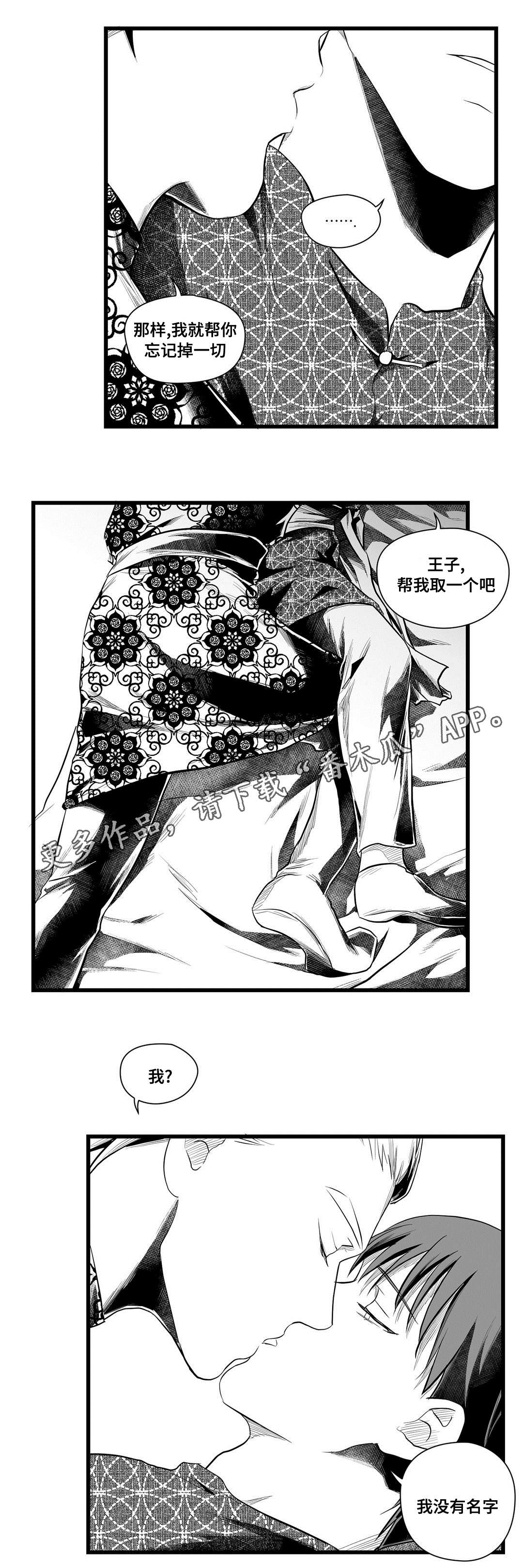 巫师与王子漫画,第52章：名字5图