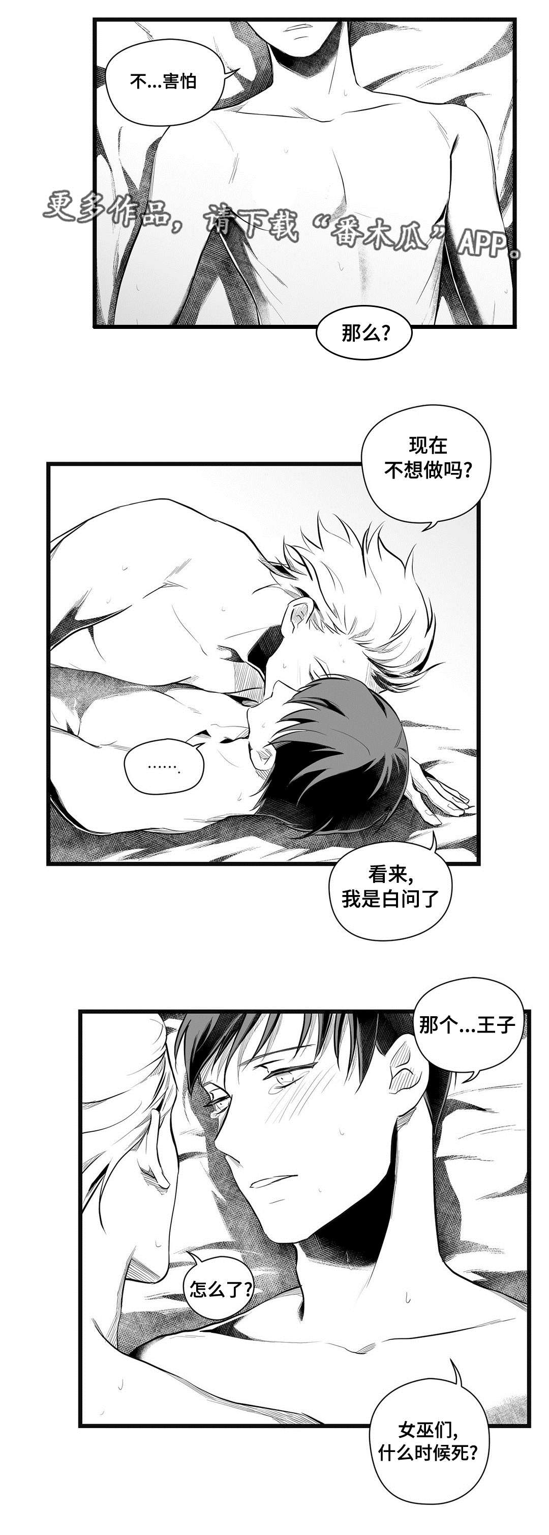 巫师与王子漫画,第49章：守护5图