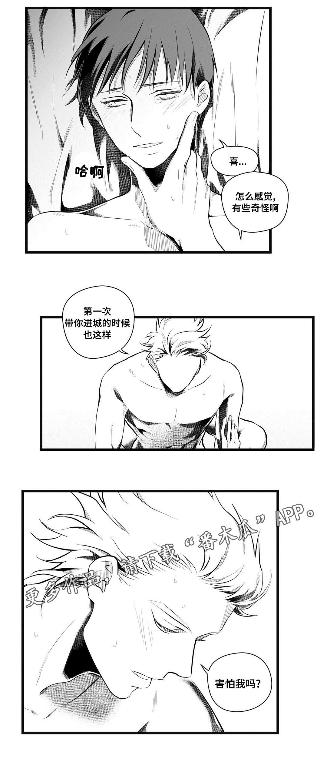 巫师与王子漫画,第49章：守护4图