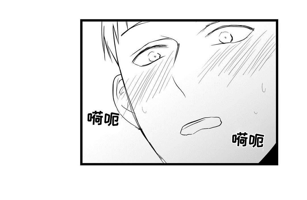 巫师与王子漫画,第20章：祭品4图