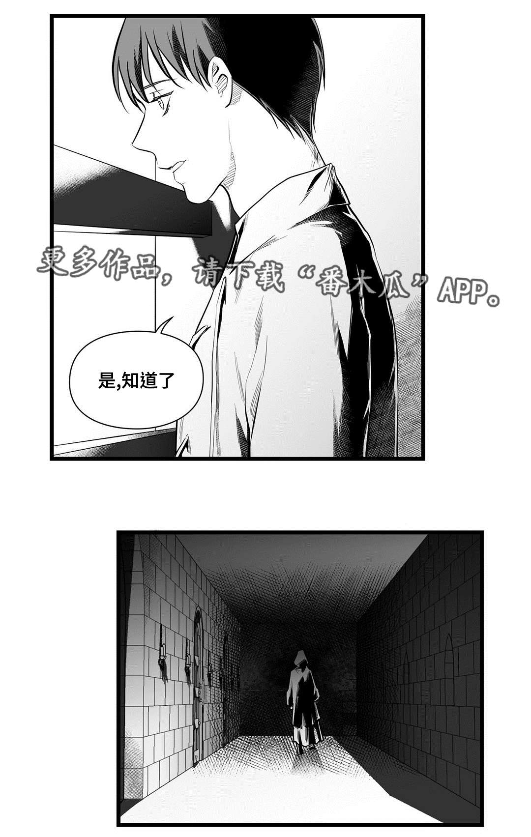 巫师与王子漫画,第46章：证言3图