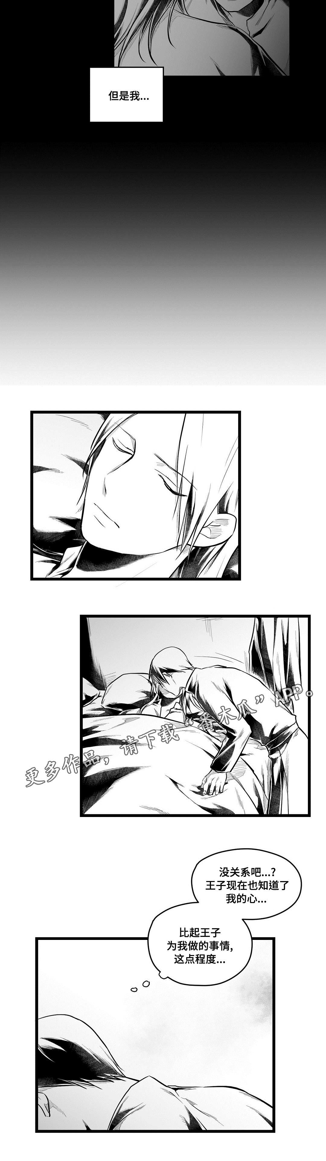 巫师与王子漫画,第62章：相爱5图