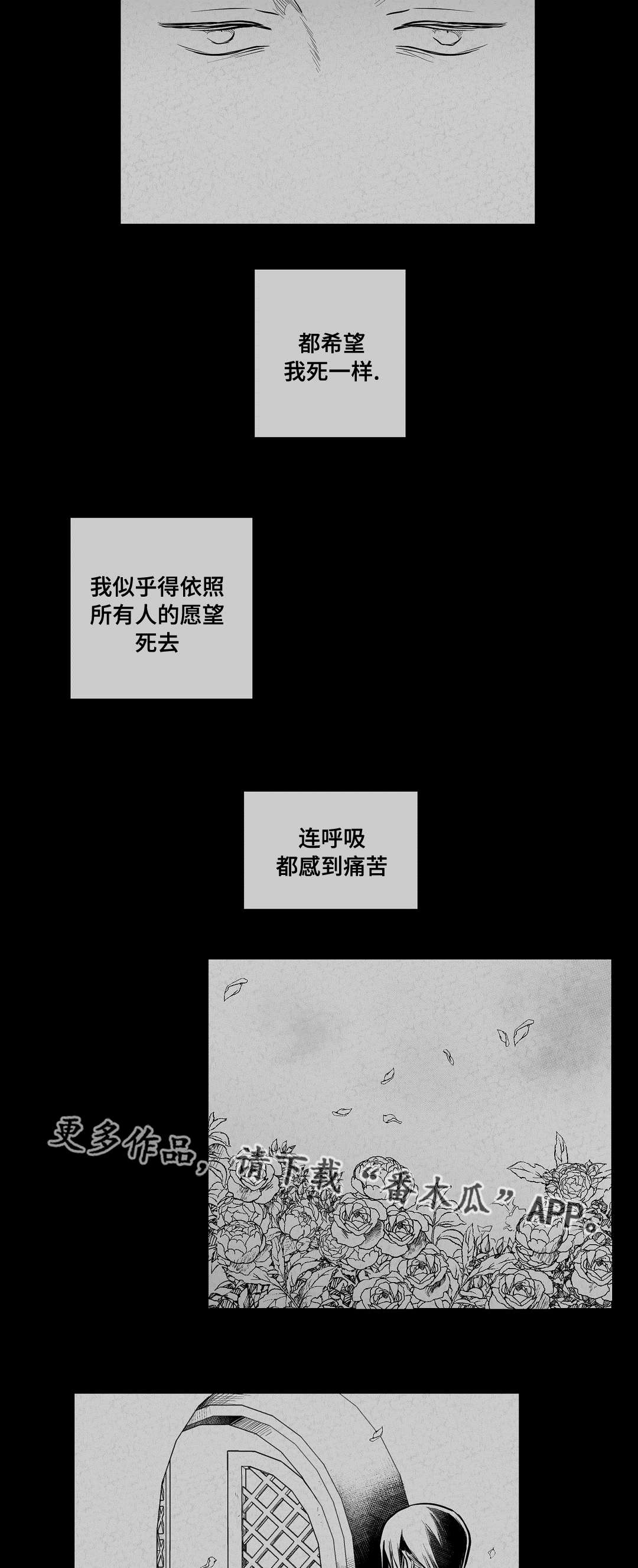 巫师与王子漫画,第63章：爱情2图