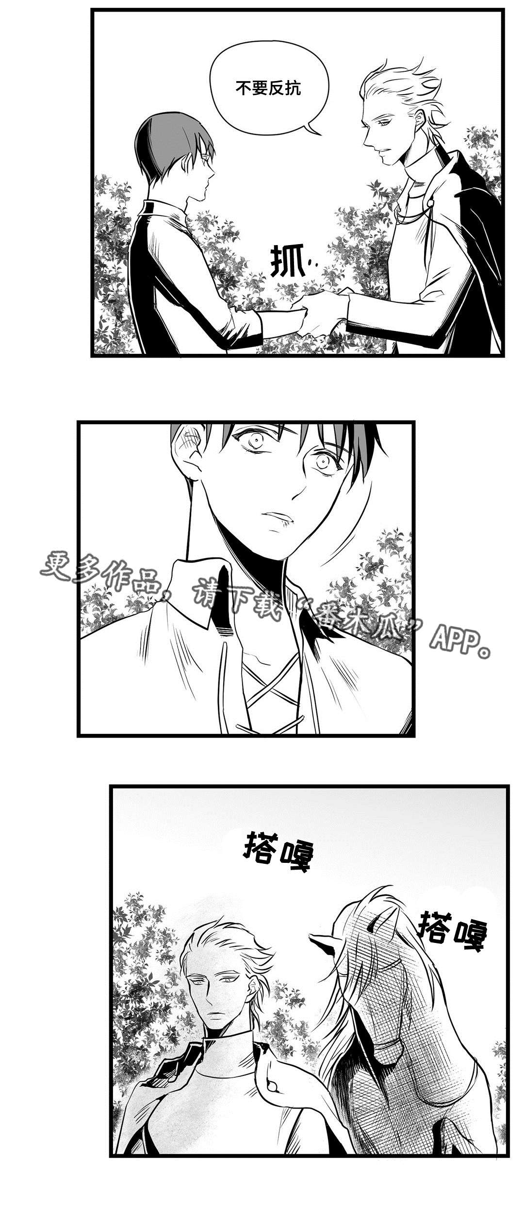 巫师与王子漫画,第27章：犯人5图