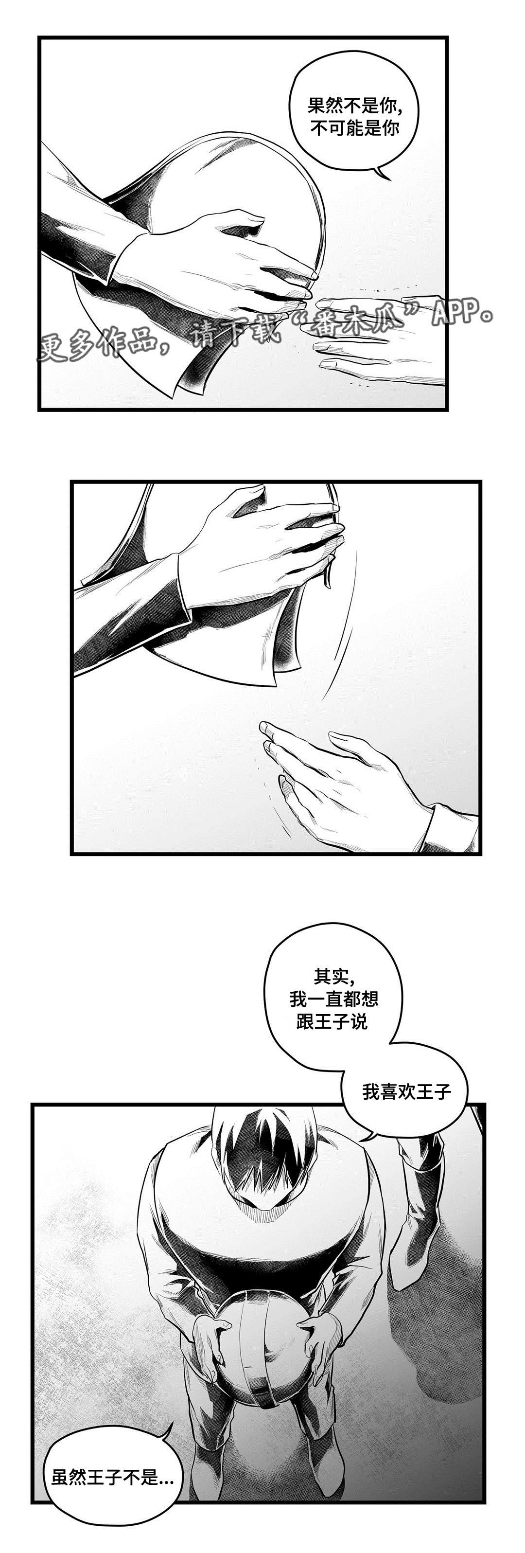 巫师与王子漫画,第55章：爱上2图