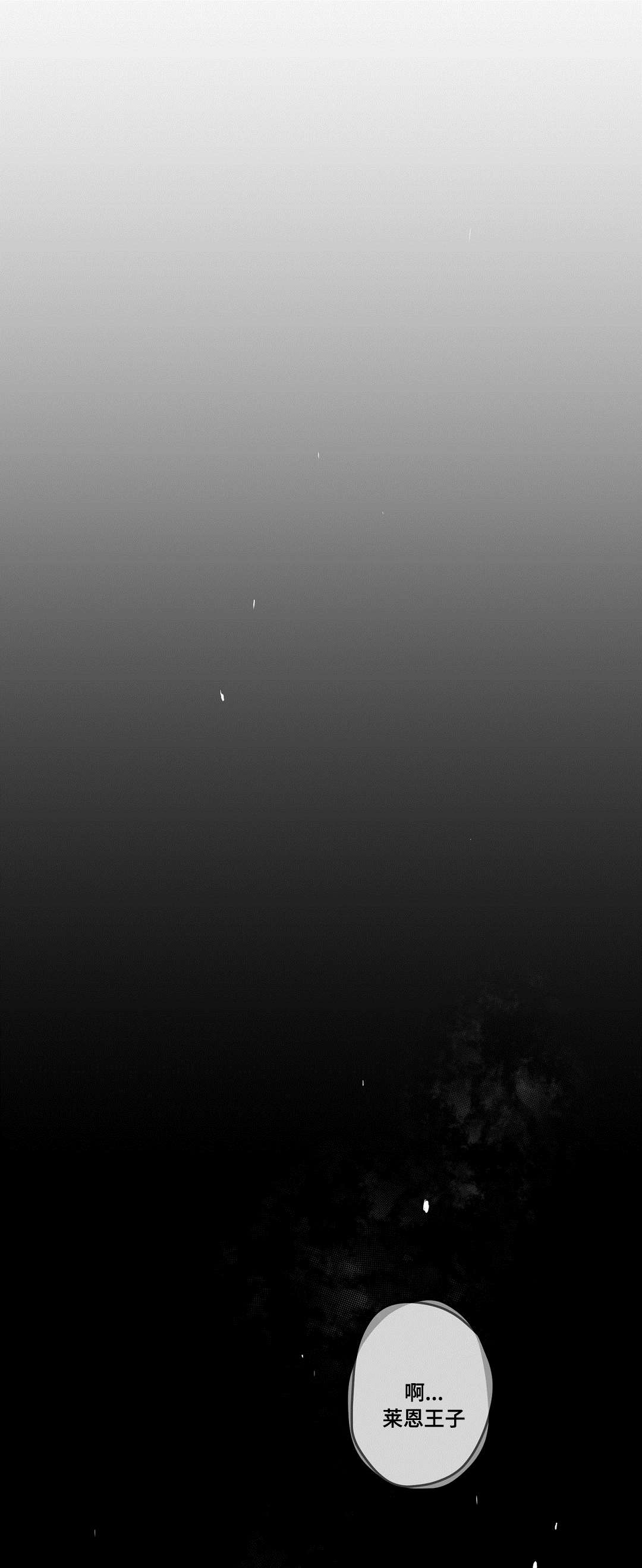 巫师与王子漫画,第58章：追寻2图