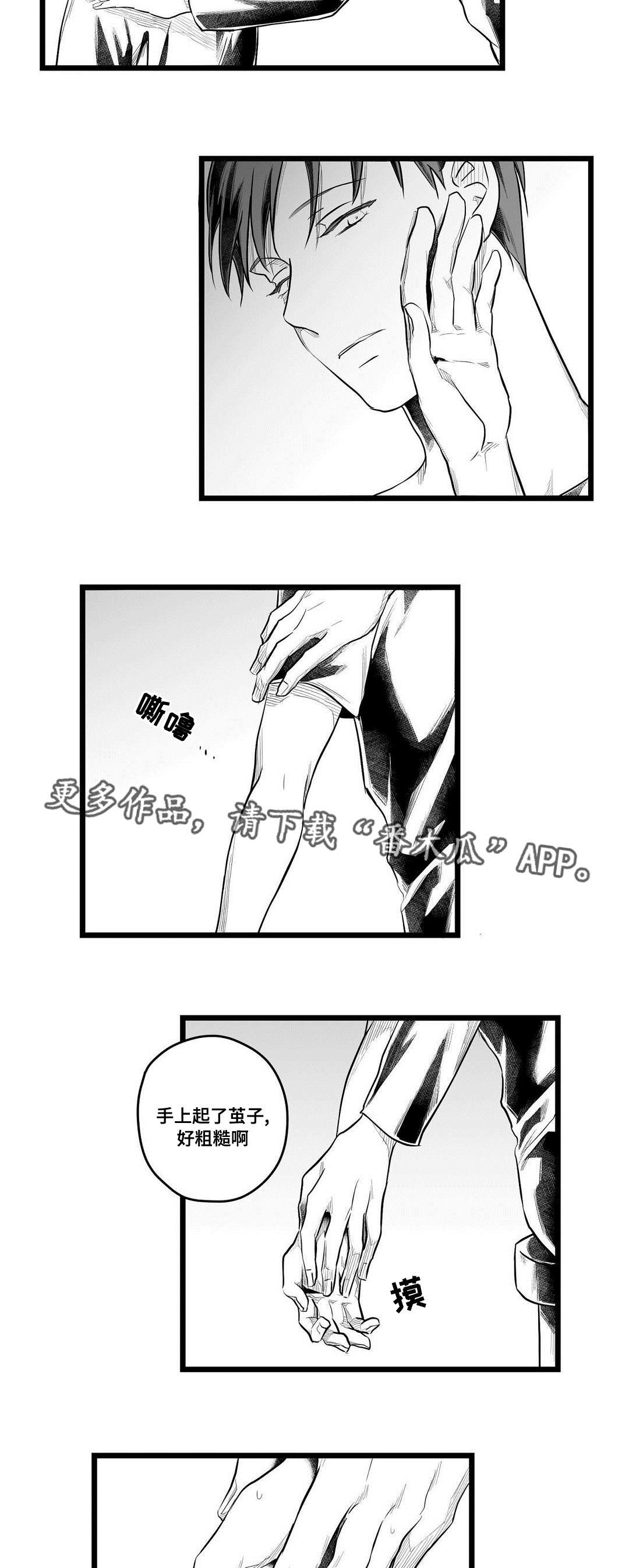 巫师与王子漫画,第60章：谢意2图