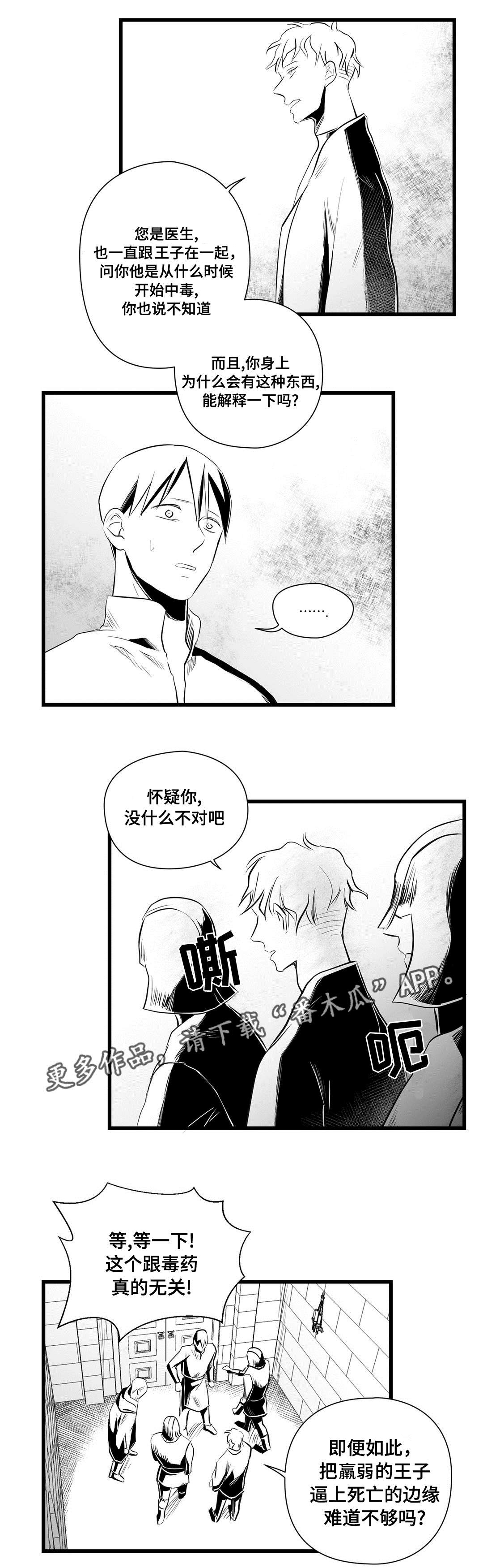 巫师与王子漫画,第34章：下毒4图