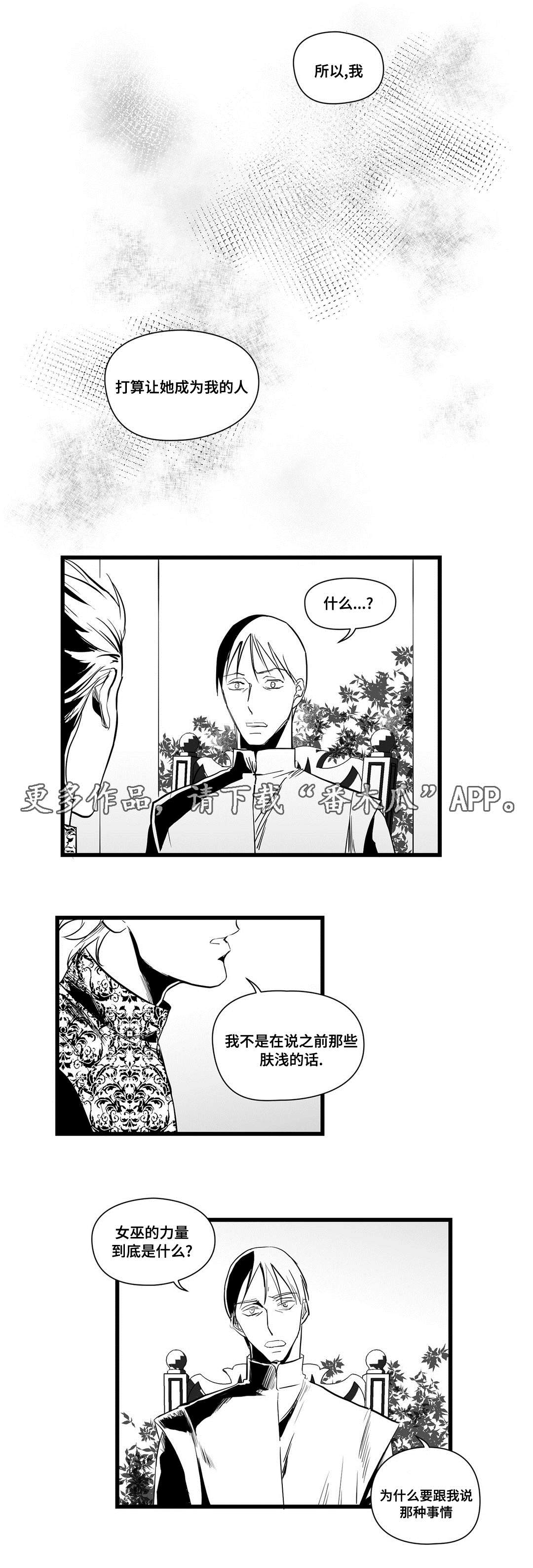巫师与王子漫画,第18章：痛苦3图