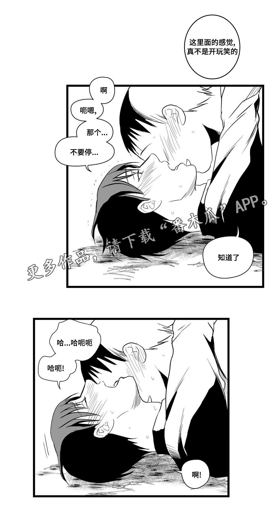巫师与王子漫画,第21章：合作2图