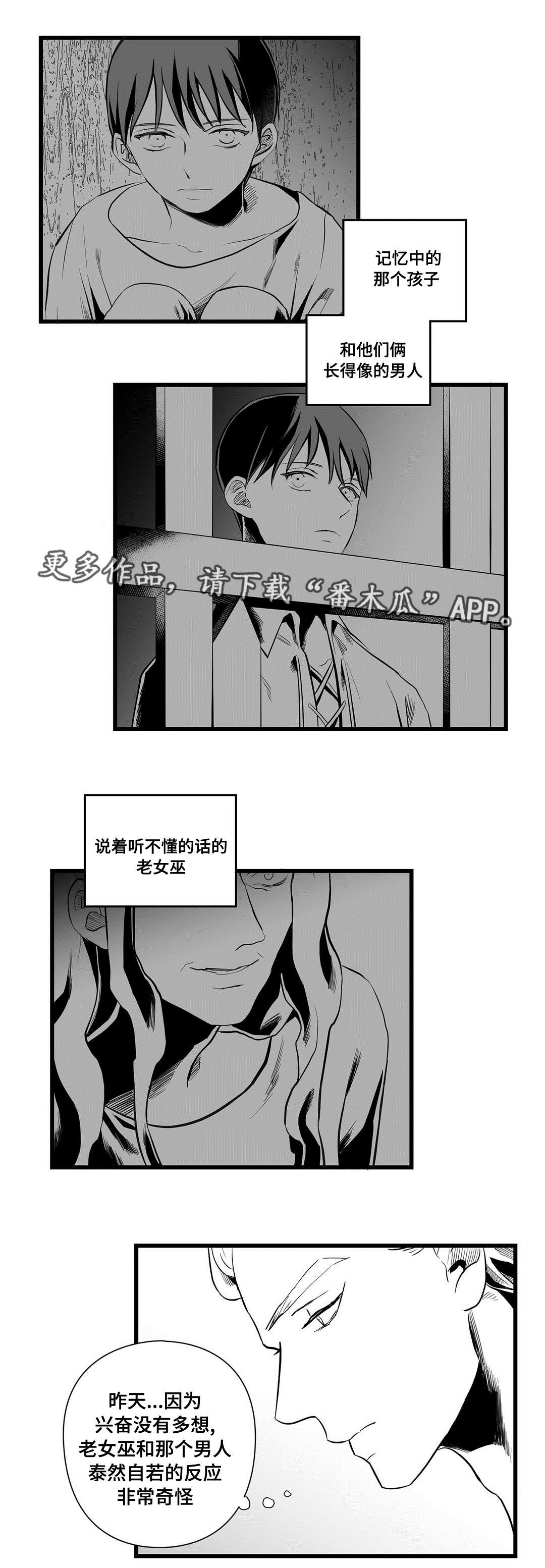 巫师与王子漫画,第36章：隐瞒着什么4图