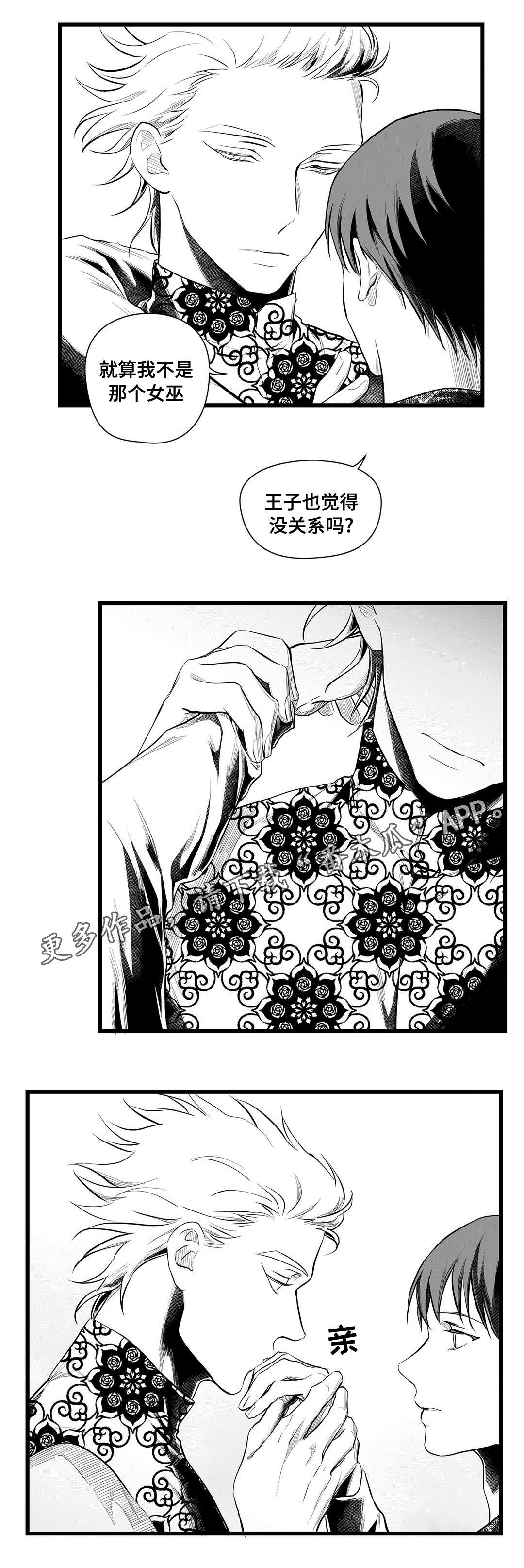 巫师与王子漫画,第51章：魔力3图