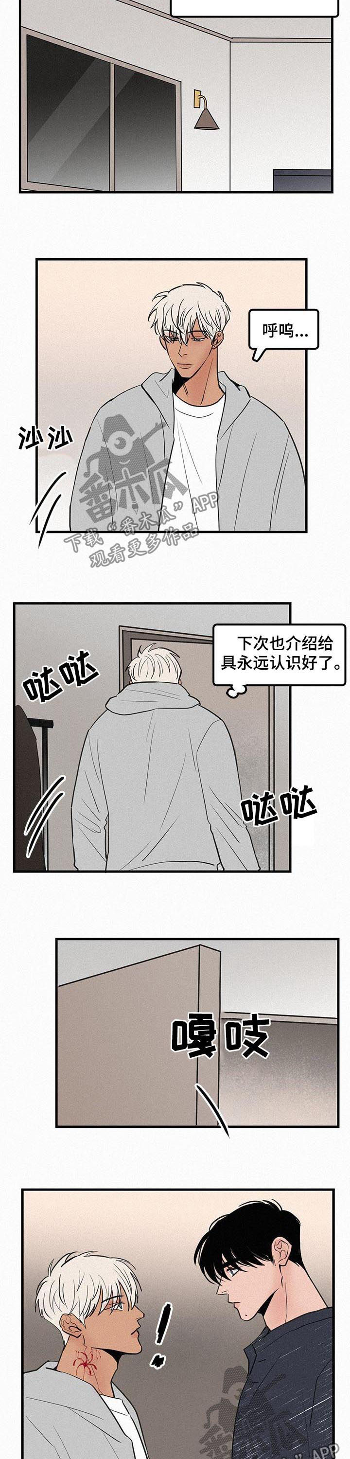 迷画人漫画,第72章：番外：还在爱你2图