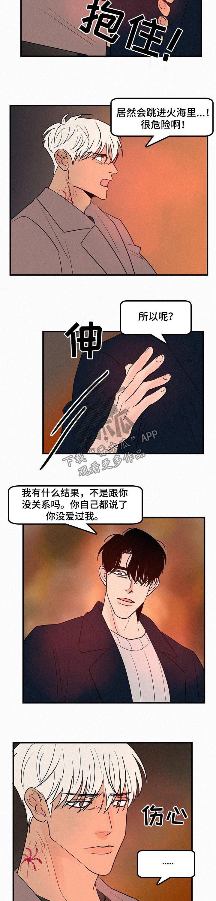 迷画人漫画,第65章：没爱过3图