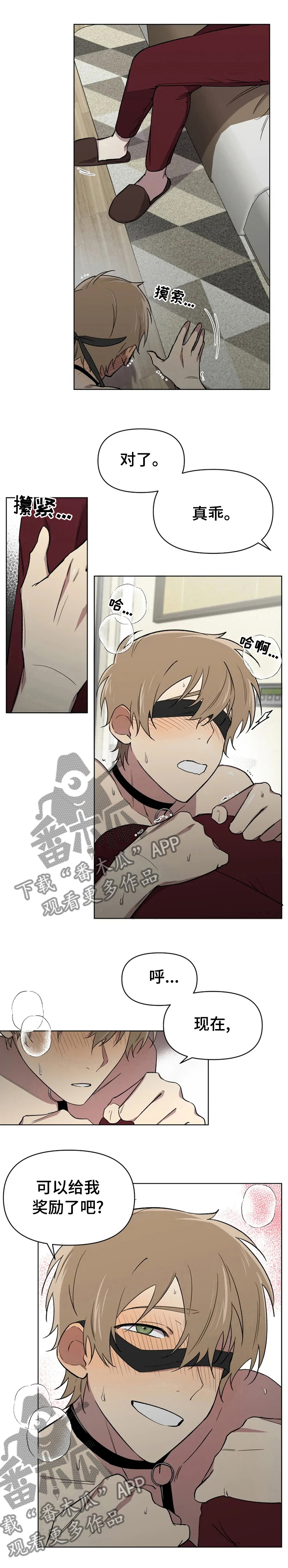 可疑的信徒漫画,第52章：奖励5图