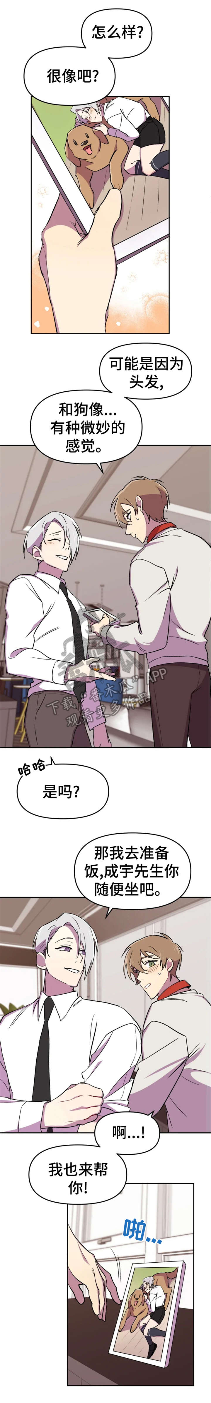 可疑的信徒漫画,第11章：狗狗4图