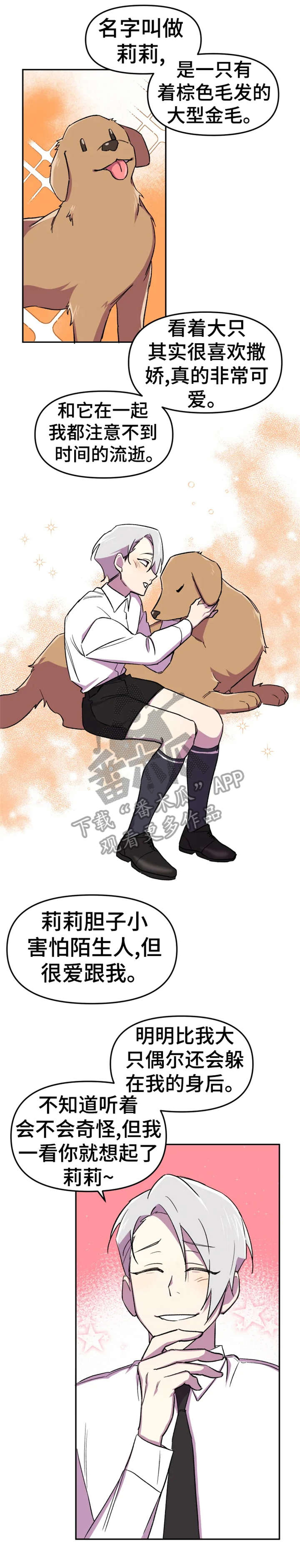 可疑的信徒漫画,第11章：狗狗2图