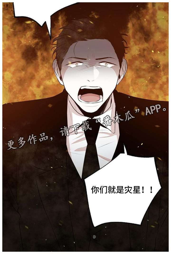 忘忧草是什么植物漫画,第34章：你们是灾星1图