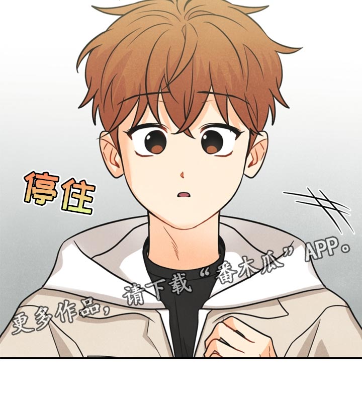 玩偶攻略漫画,第35章：两个办法5图
