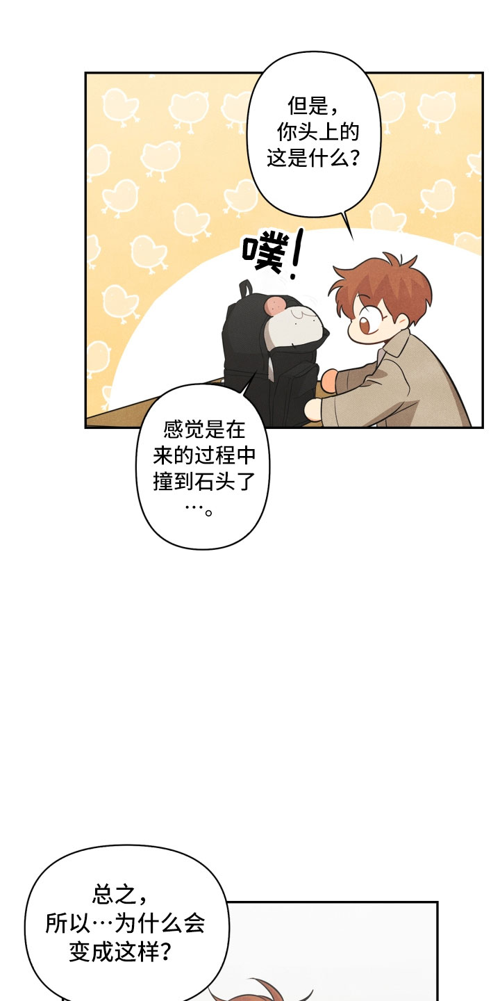 玩偶攻略漫画,第6章：不知所措4图