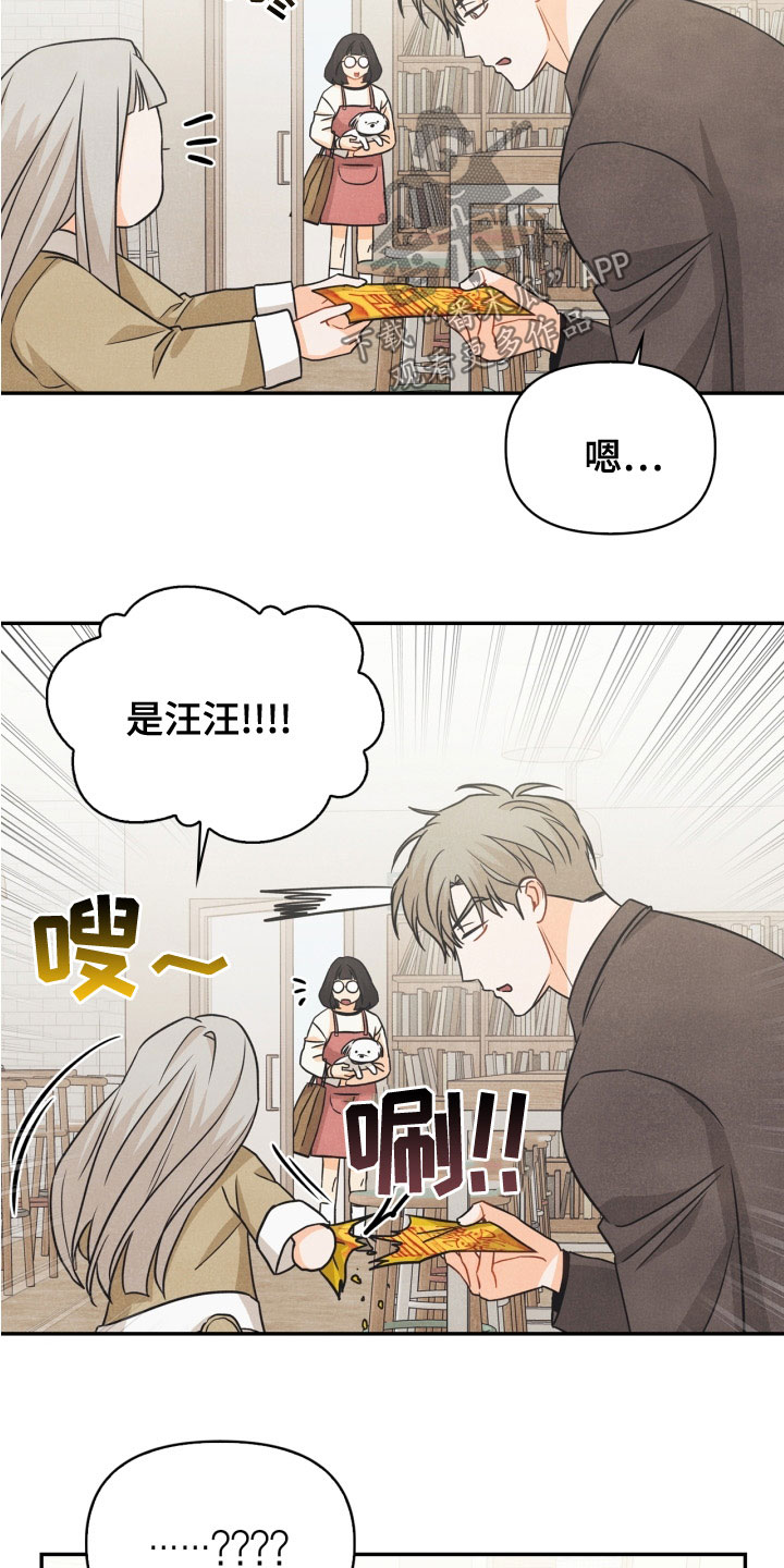 玩偶攻略漫画,第77章：【番外】不可以5图