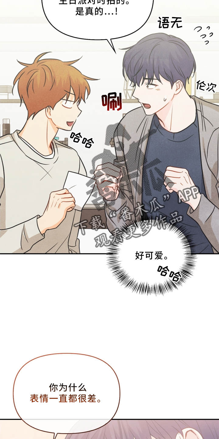 玩偶攻略漫画,第96章：【番外】幸福5图