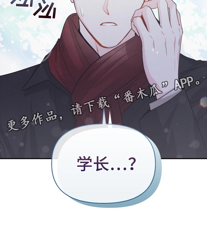 玩偶攻略漫画,第54章：表白3图