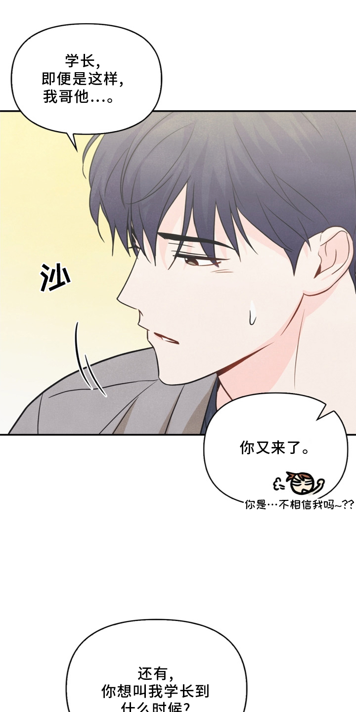 玩偶攻略漫画,第96章：【番外】幸福1图