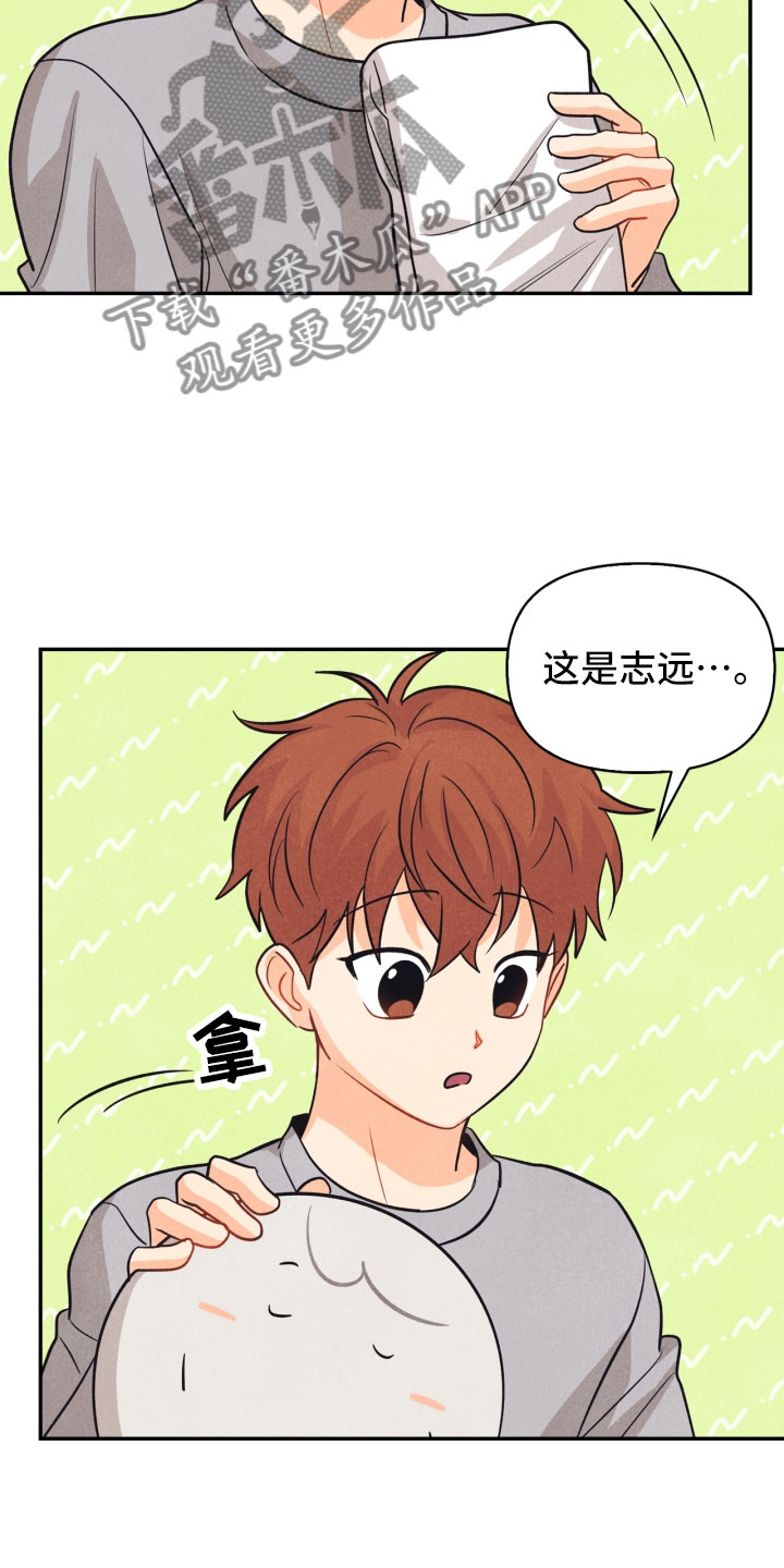玩偶攻略漫画,第22章：行李箱1图