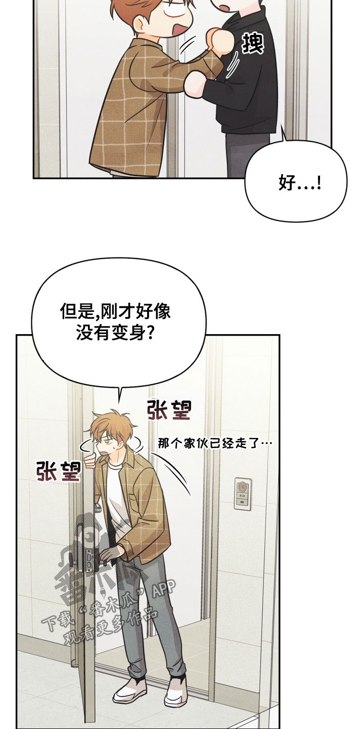 玩偶攻略漫画,第78章：【番外】发飙4图
