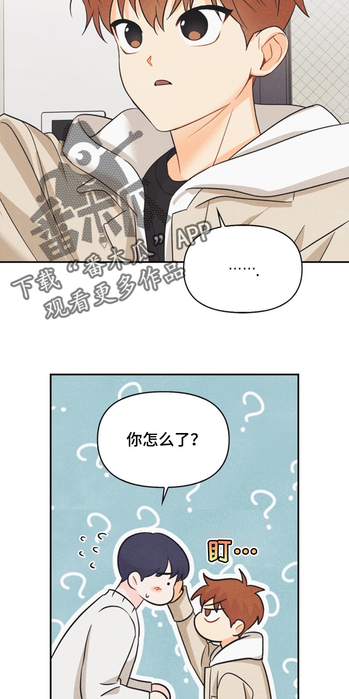 玩偶攻略漫画,第42章：祝贺4图