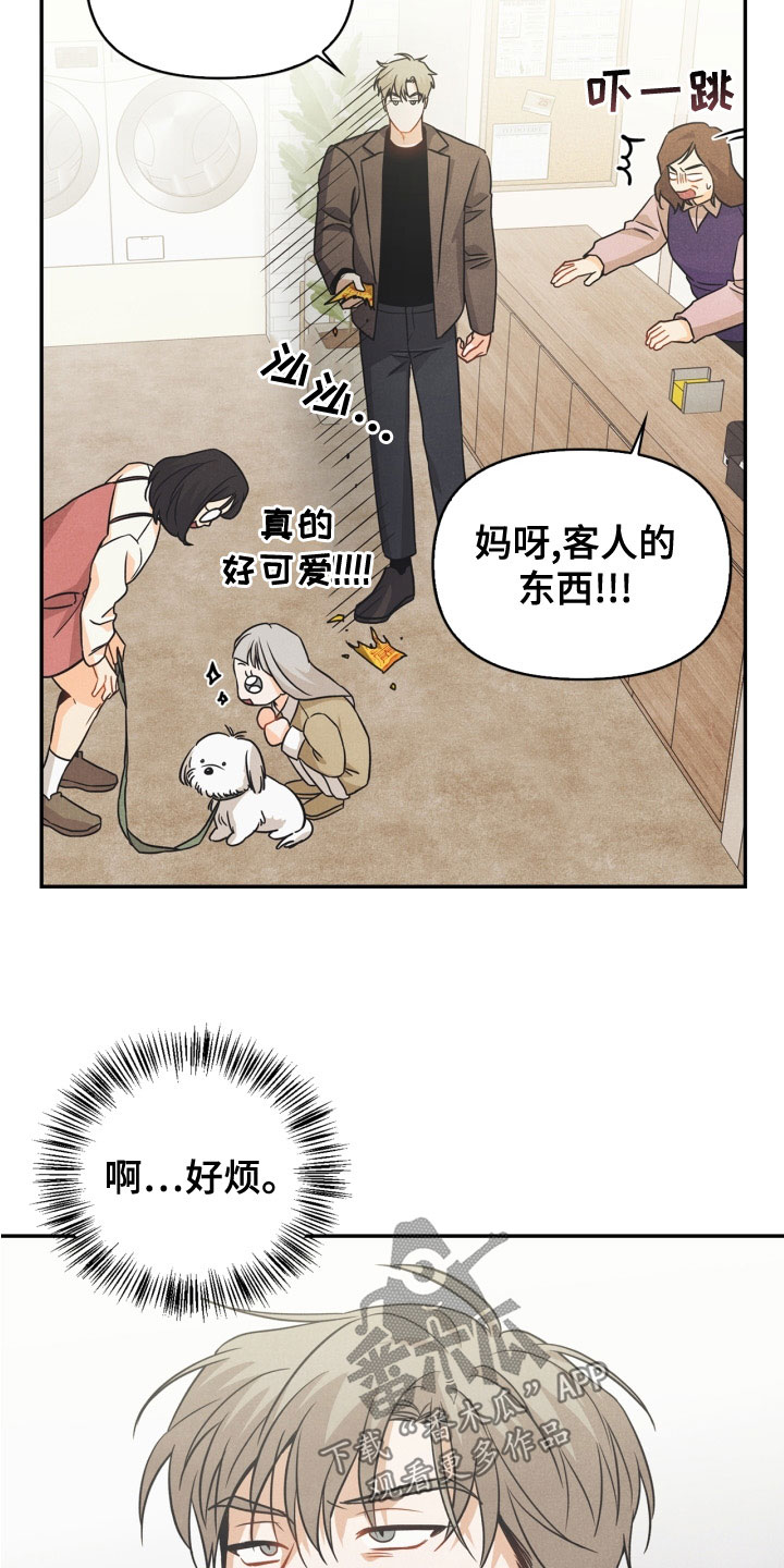 玩偶攻略漫画,第77章：【番外】不可以1图