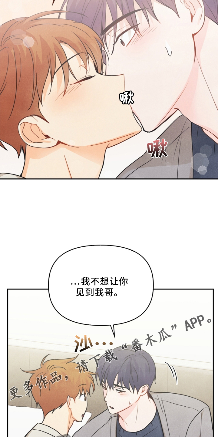 玩偶攻略漫画,第96章：【番外】幸福1图
