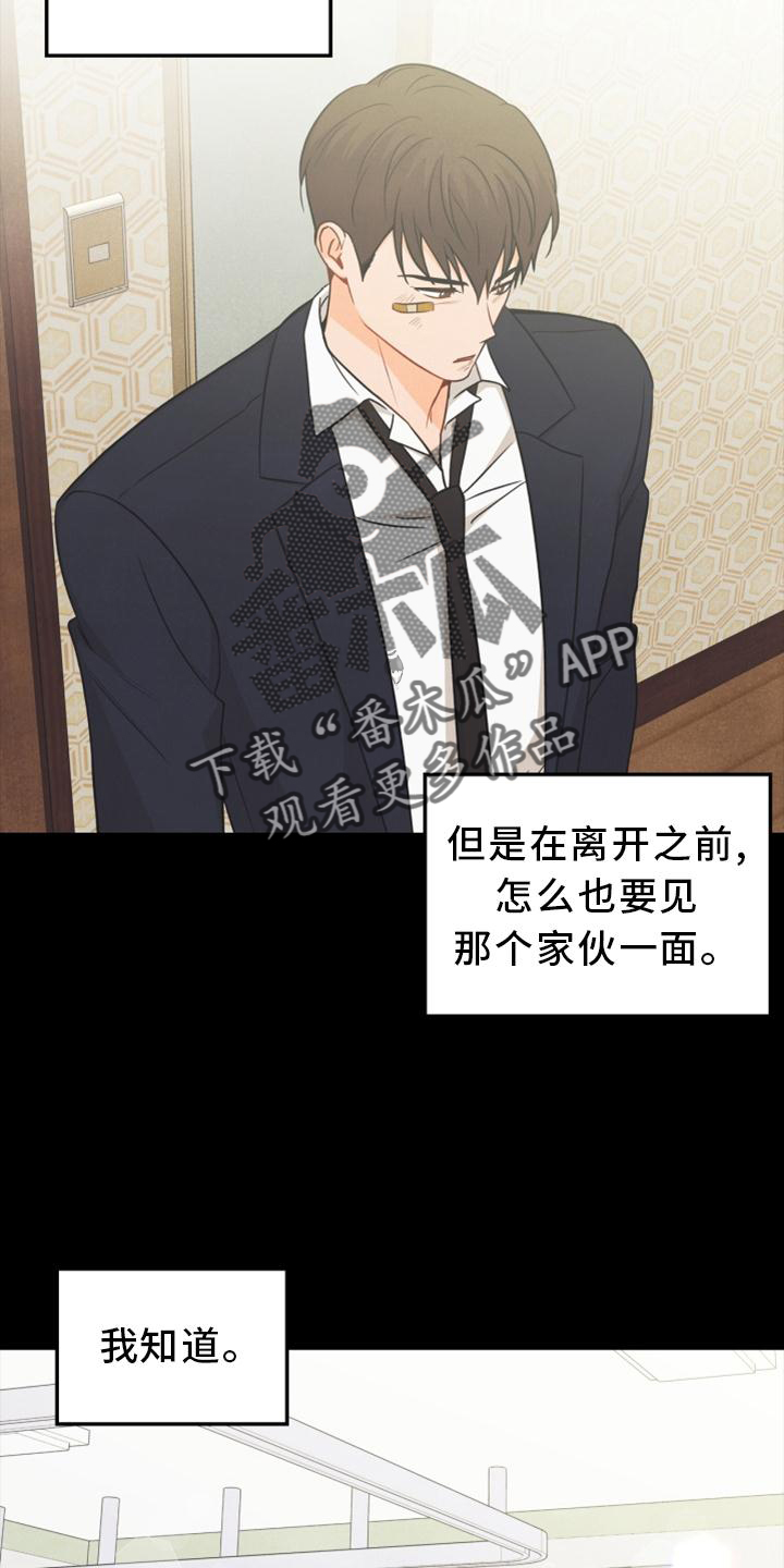 玩偶攻略漫画,第90章：【番外】帮助5图