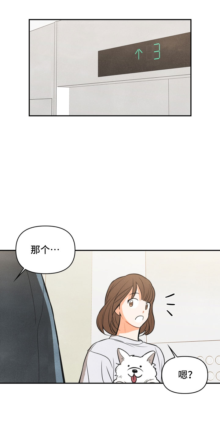 玩偶攻略漫画,第1章：告白3图