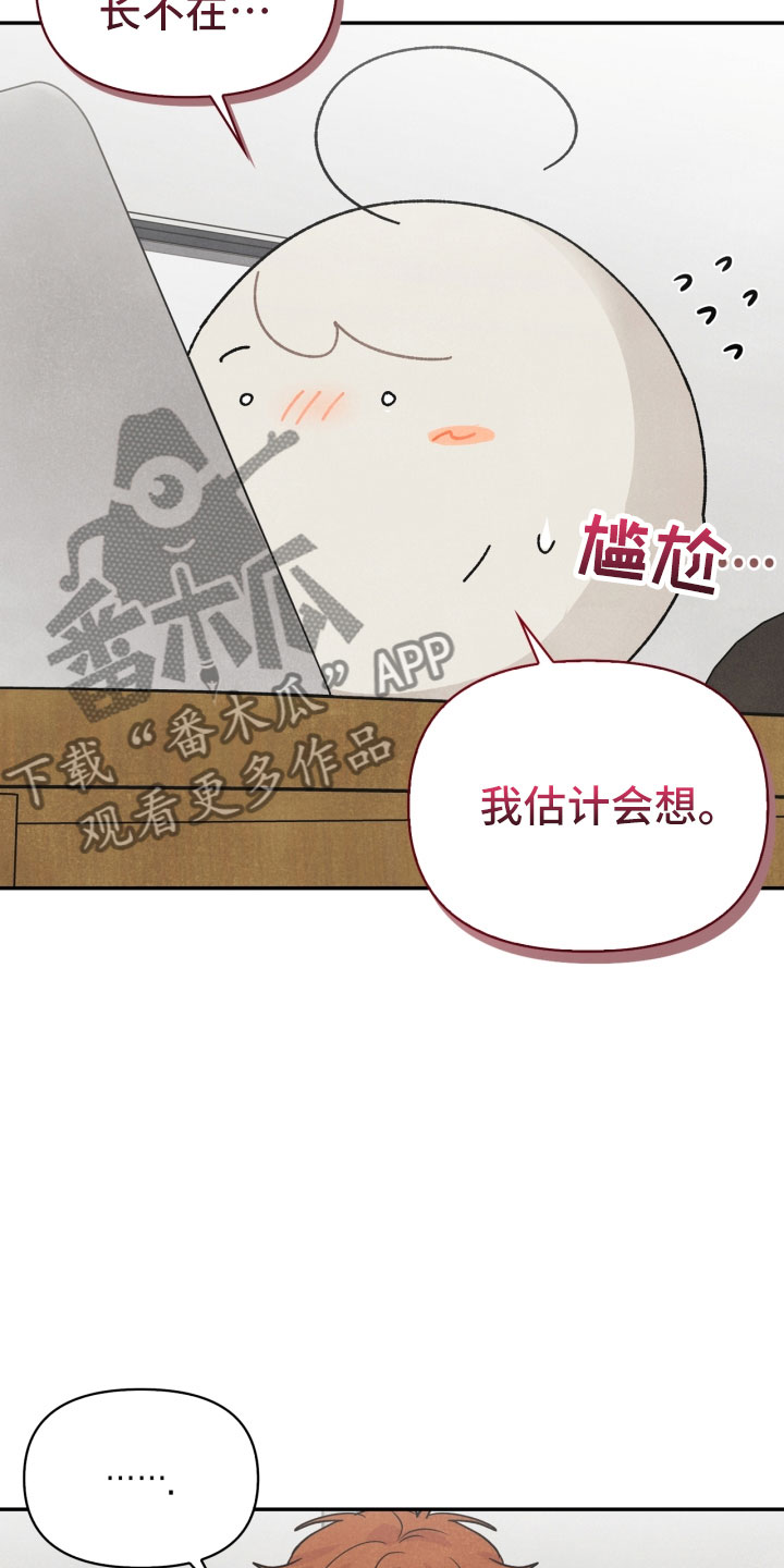 玩偶攻略漫画,第22章：行李箱4图