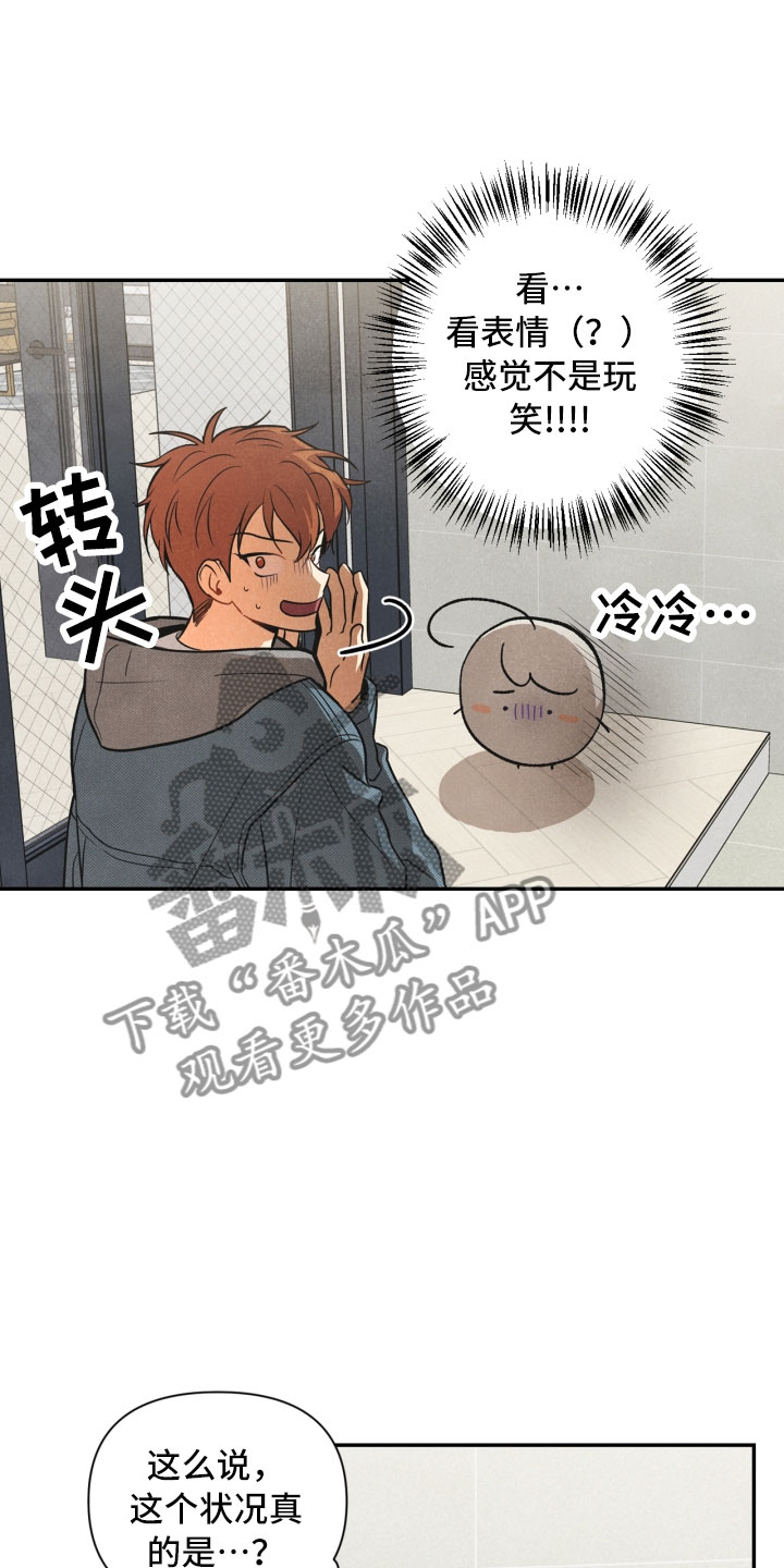 玩偶攻略漫画,第4章：混乱的一晚2图