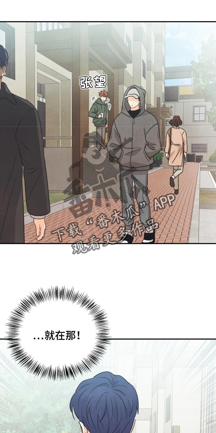 玩偶攻略漫画,第48章：支持3图