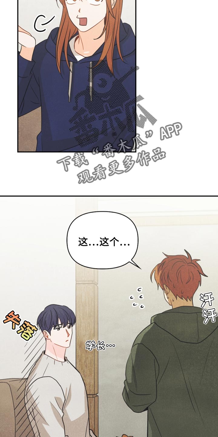 玩偶攻略漫画,第57章：想成为家人3图