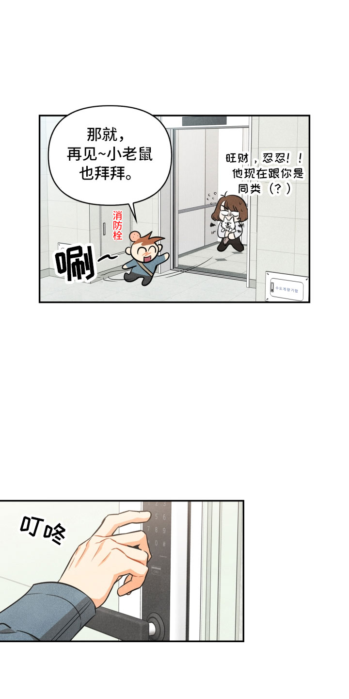 玩偶攻略漫画,第1章：告白2图