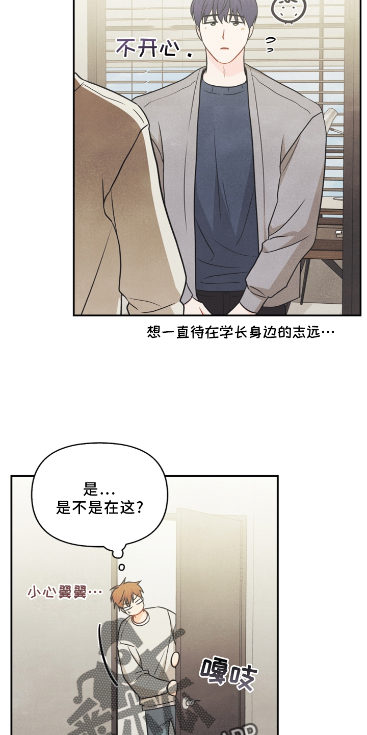 玩偶攻略漫画,第95章：【番外】哥哥3图