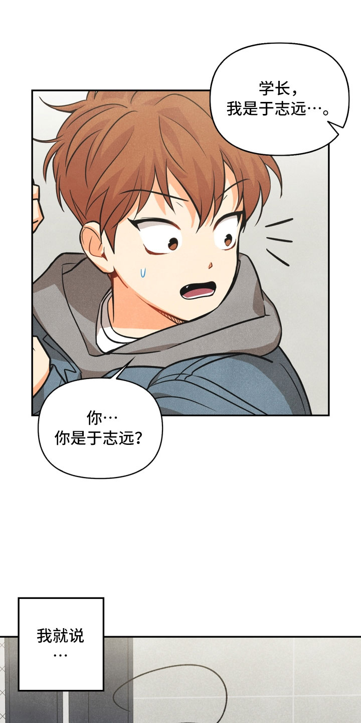 玩偶攻略漫画,第3章：奇怪的布偶3图