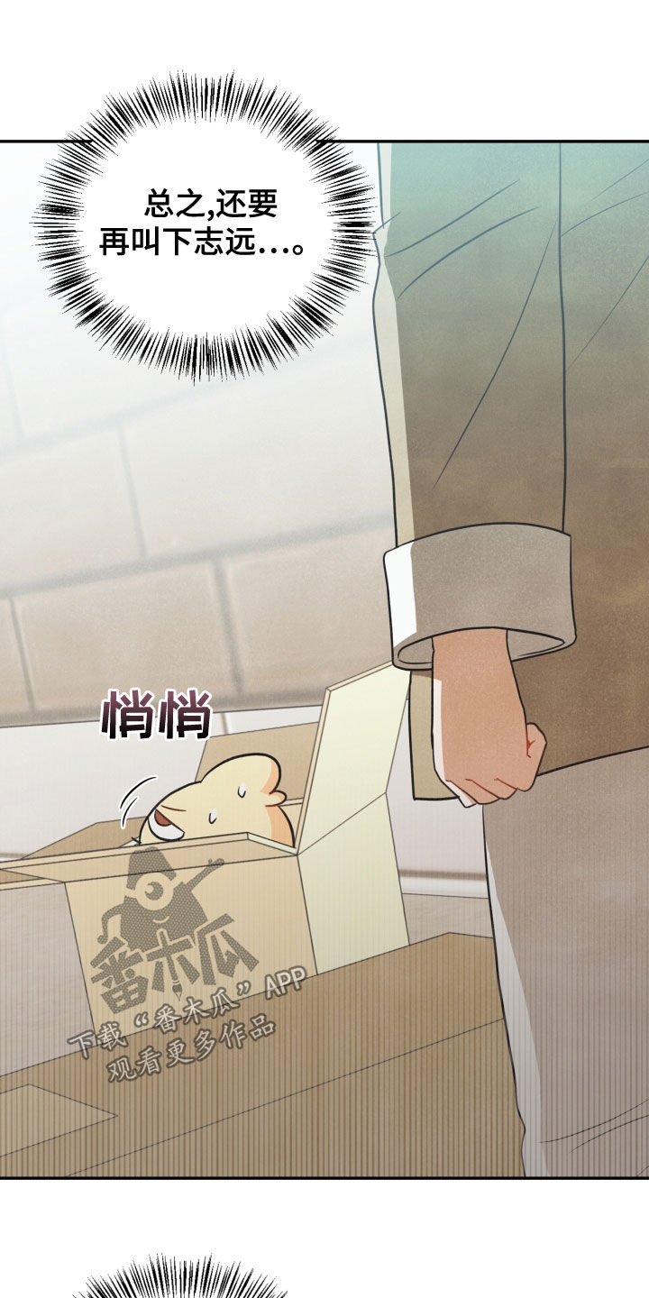 玩偶攻略漫画,第72章：【番外】糟了4图