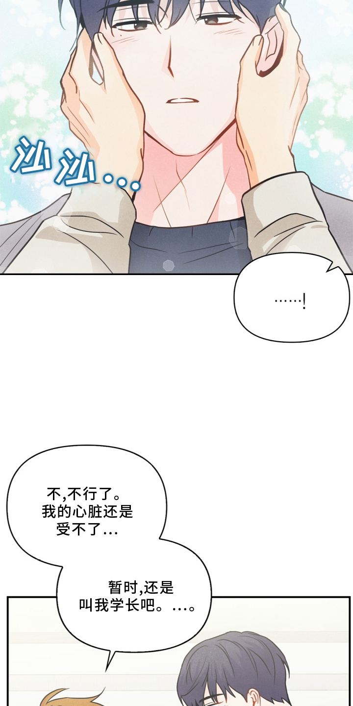 玩偶攻略漫画,第96章：【番外】幸福4图