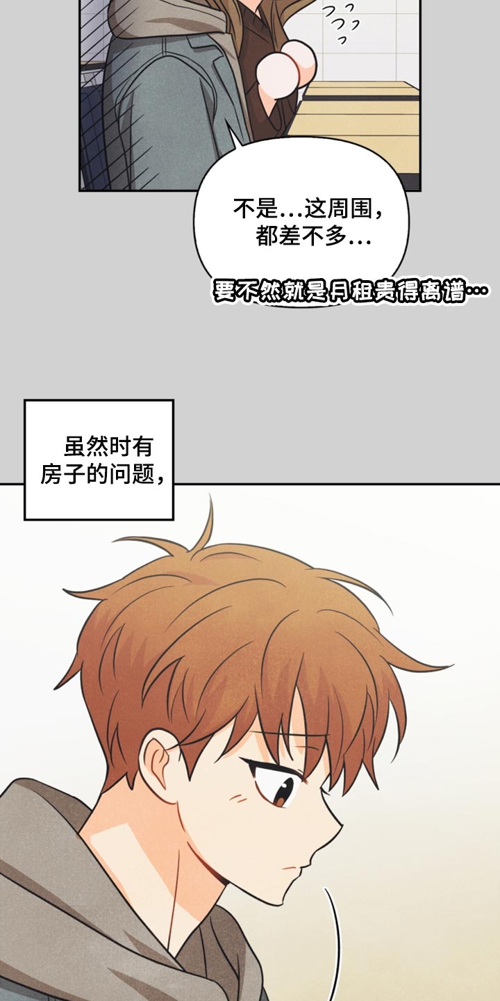 玩偶攻略漫画,第41章：转机4图