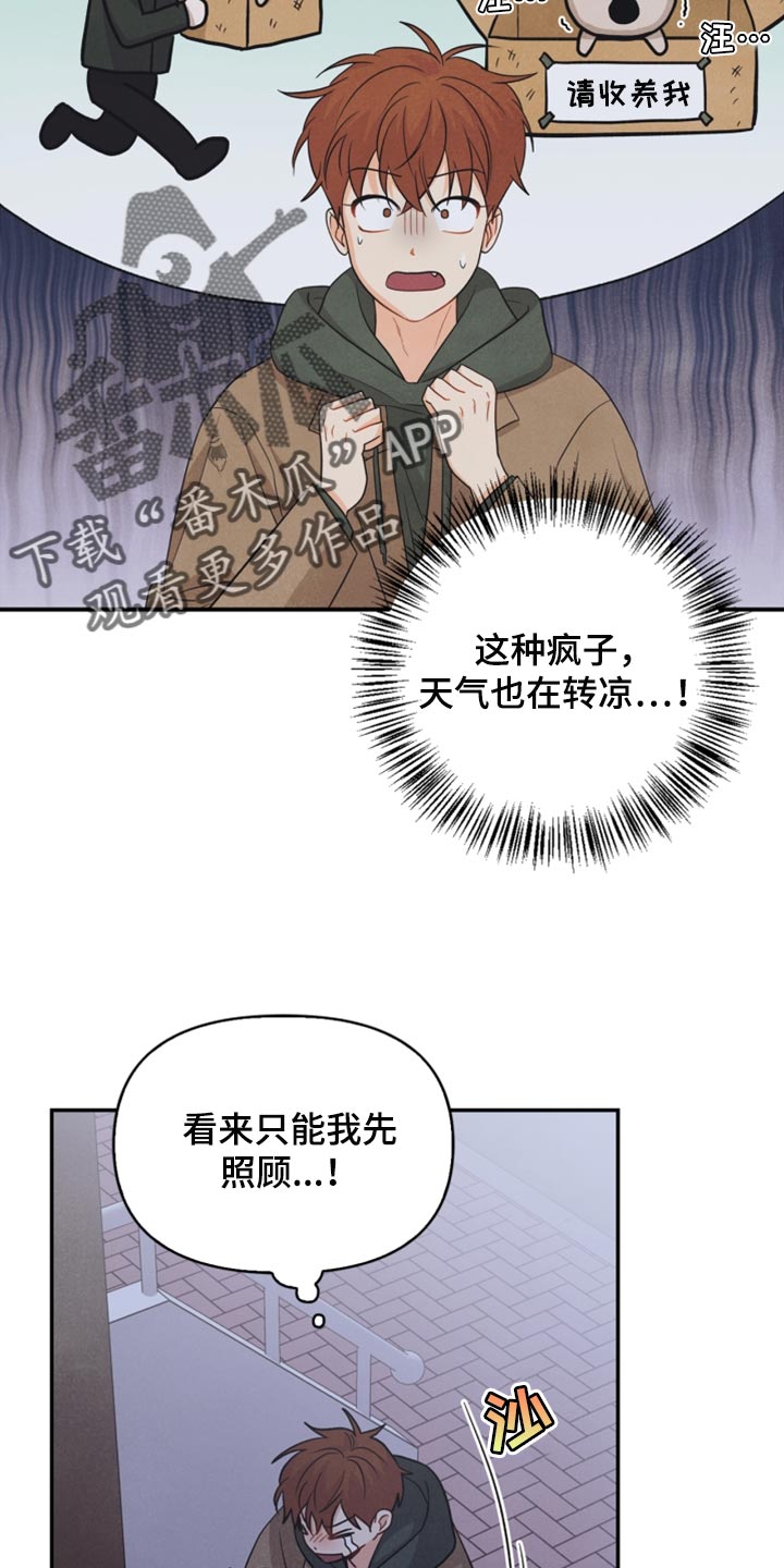 玩偶攻略漫画,第53章：傻瓜4图