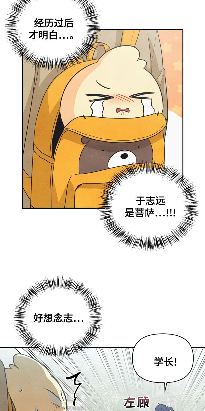 玩偶攻略漫画,第73章：【番外】错过2图