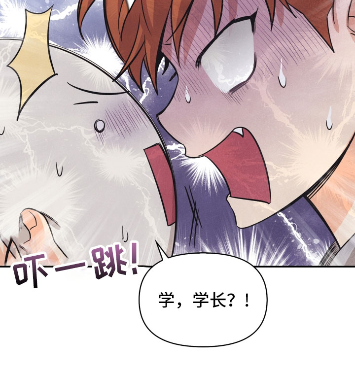 玩偶攻略漫画,第22章：行李箱3图