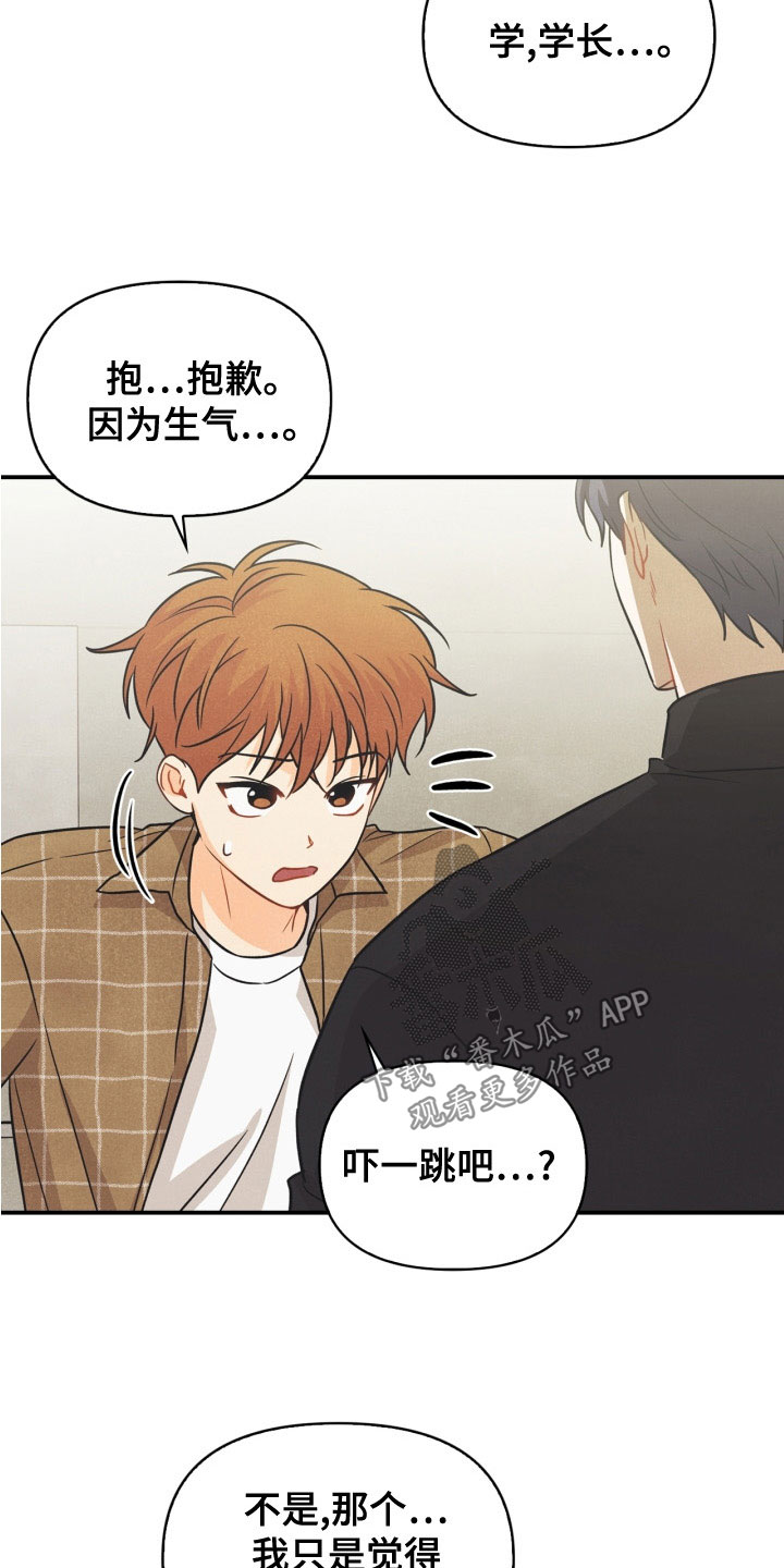 玩偶攻略漫画,第78章：【番外】发飙2图